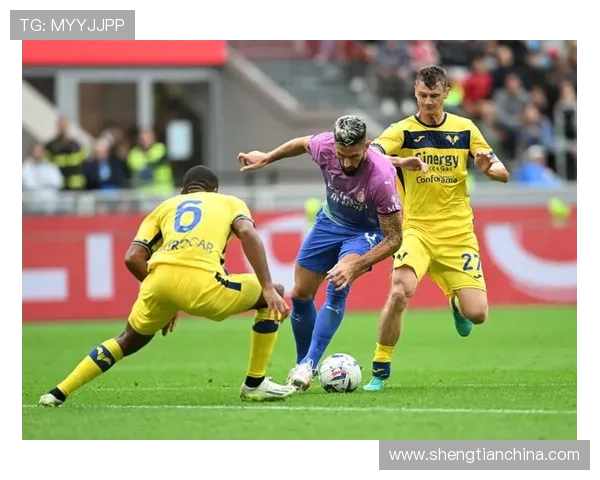 从历史沉浮到意甲征途的维罗纳足球俱乐部新篇章复兴与荣耀梦想